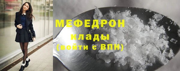 индика Аркадак