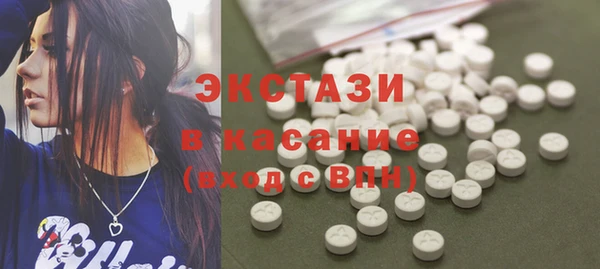 индика Аркадак