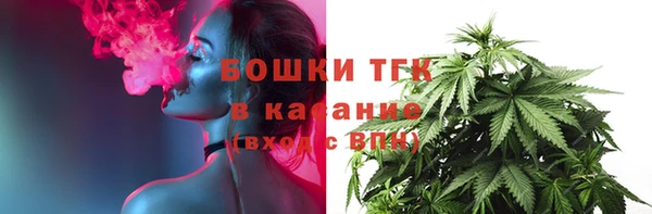прущие грибы Алексеевка