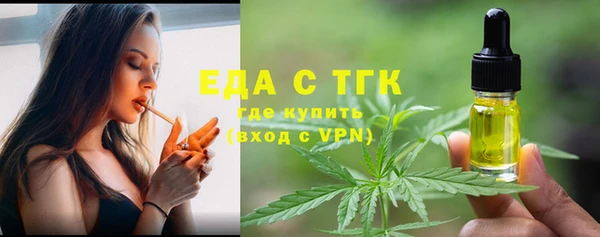 индика Аркадак