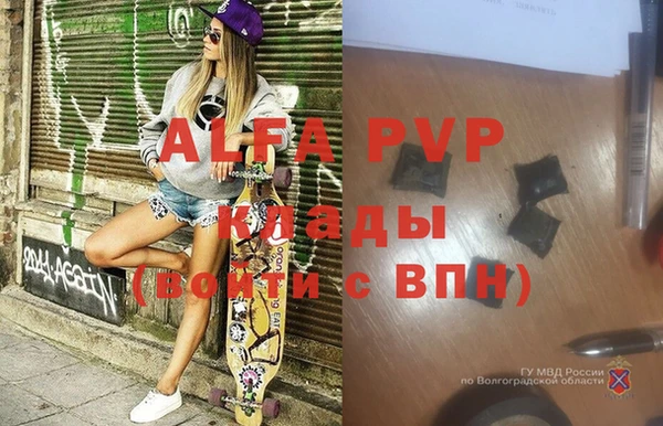 индика Аркадак