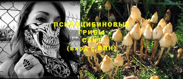 индика Аркадак