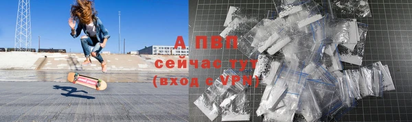 прущие грибы Семилуки